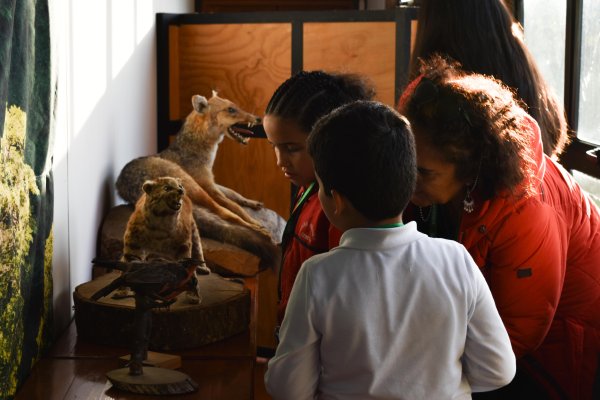 Foto galería
